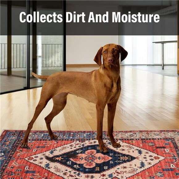 Retro Indoor Floor Mat, Non Slip Front Door Rug - 20 x 31.5in - Picture 2 of 7